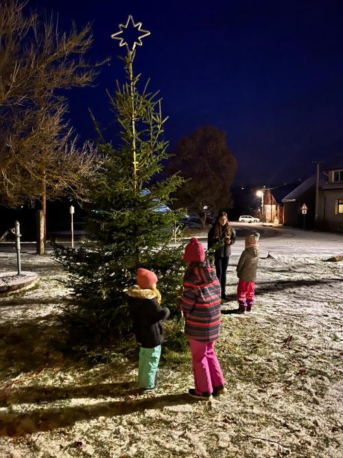 Zdobení a rozsvícení vánočního stromku v Bratkovicích